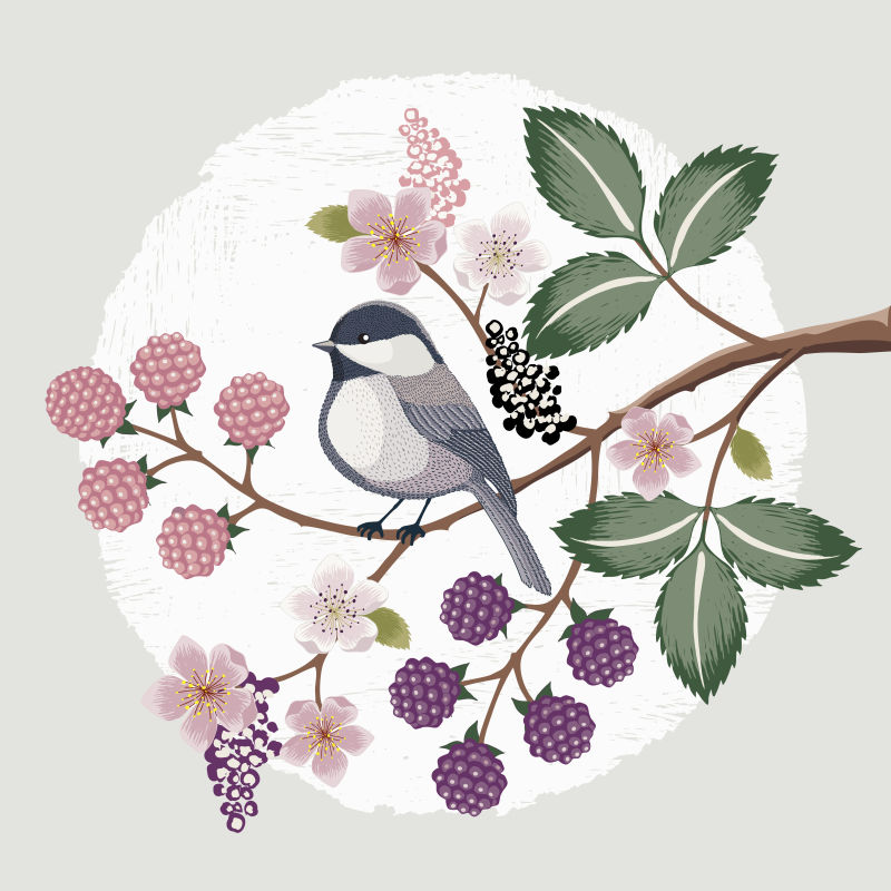 抽象矢量古典风格的花鸟插图设计