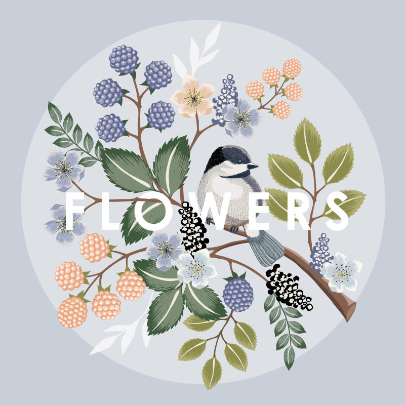 抽象矢量现代古典花鸟装饰卡片背景