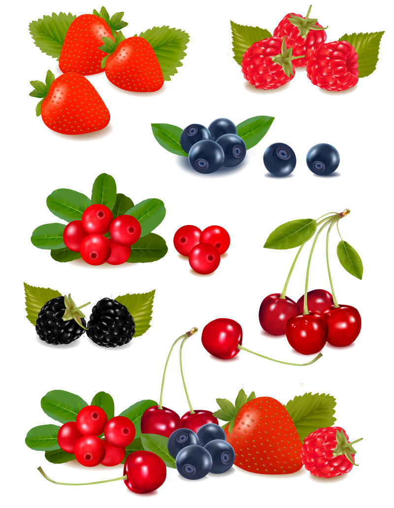 抽象矢量现代新鲜浆果类水果插图设计