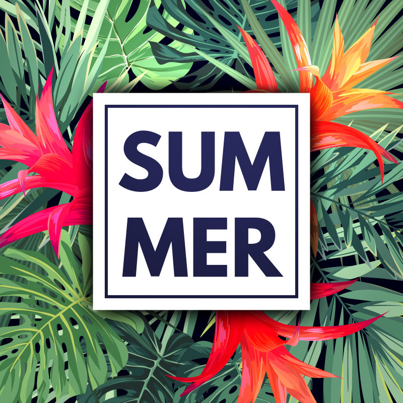 绿色植物夏季热带设计棕榈叶和异国情调的红花载体花卉模板