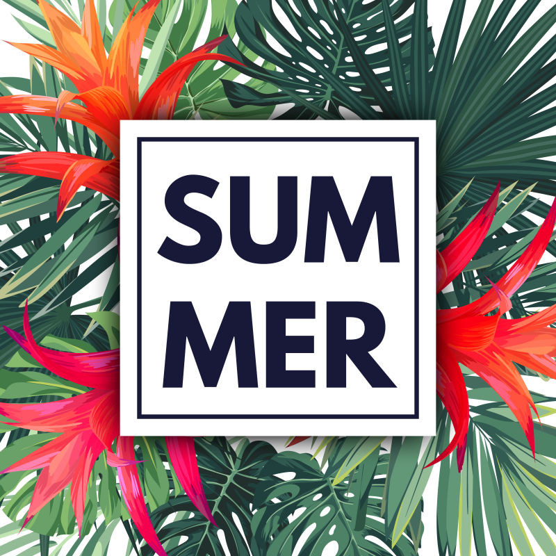 绿色植物夏季热带设计棕榈叶和异国情调的红花载体花卉模板
