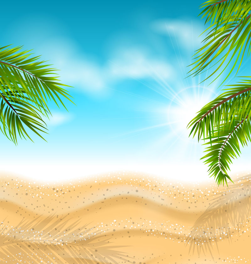 热带沙滩-海-棕榈叶-太阳-天空-云