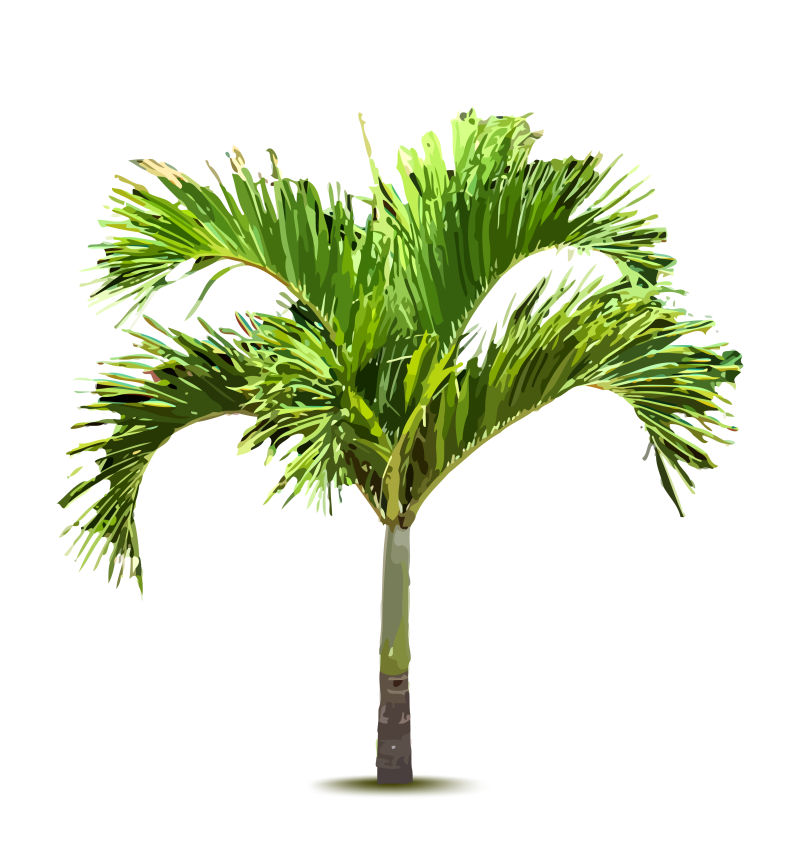 抽象矢量现代棕榈树创意设计