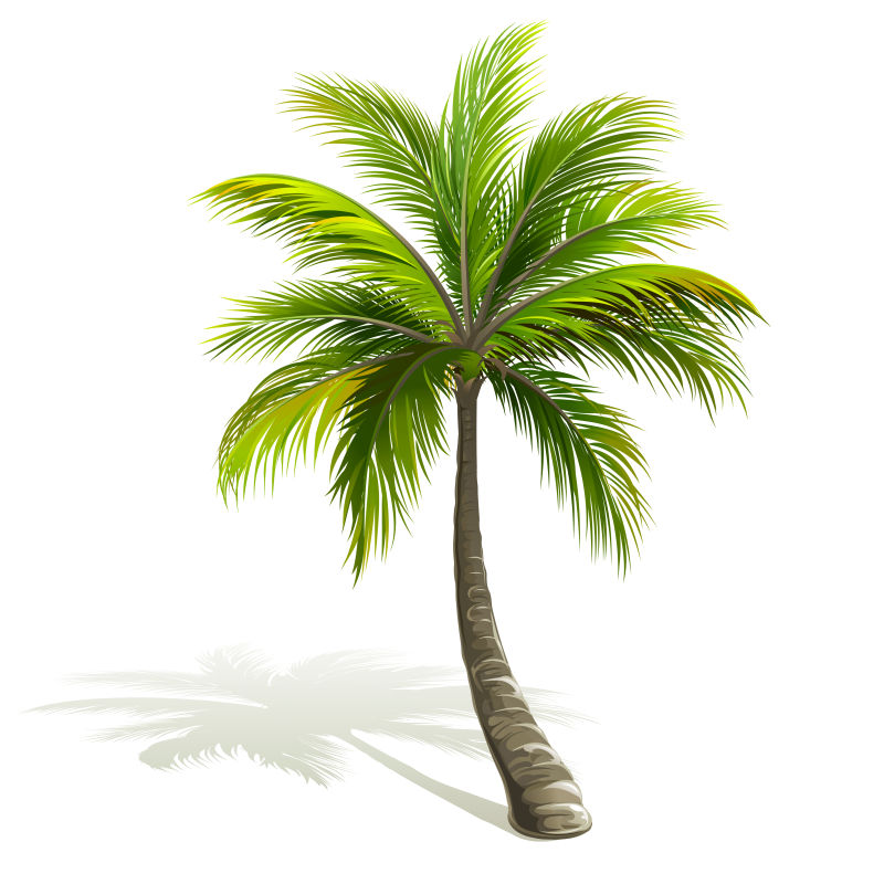 矢量抽象现代棕榈树设计插图