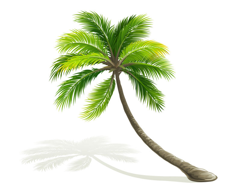 抽象矢量现代棕榈树设计插图