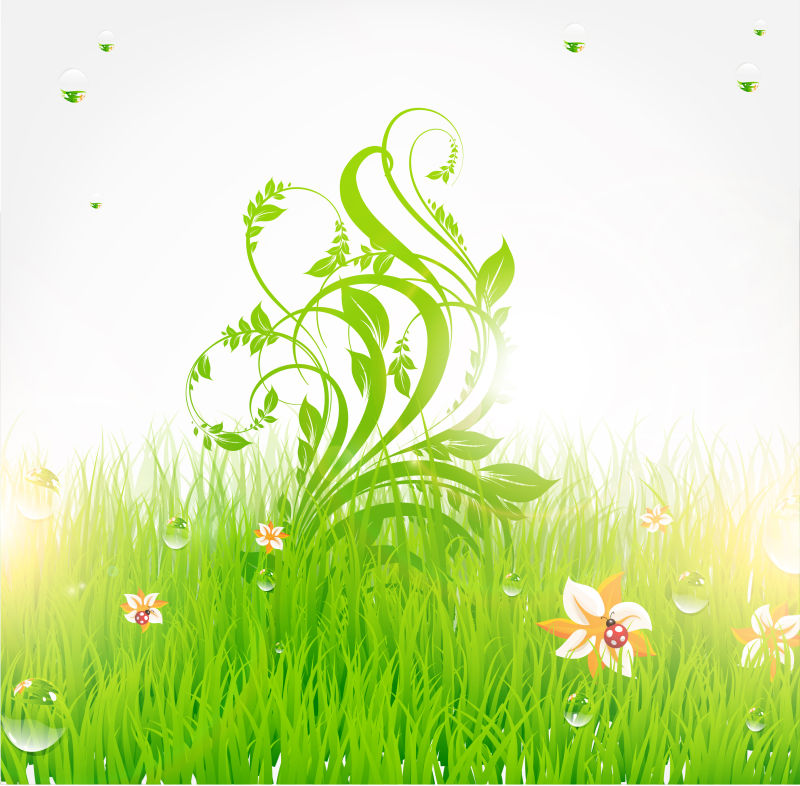 夏季草壁纸-花-瓢虫-水滴和阳光-EPS 10