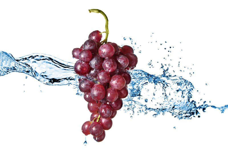 被水冲洗的一串红色葡萄