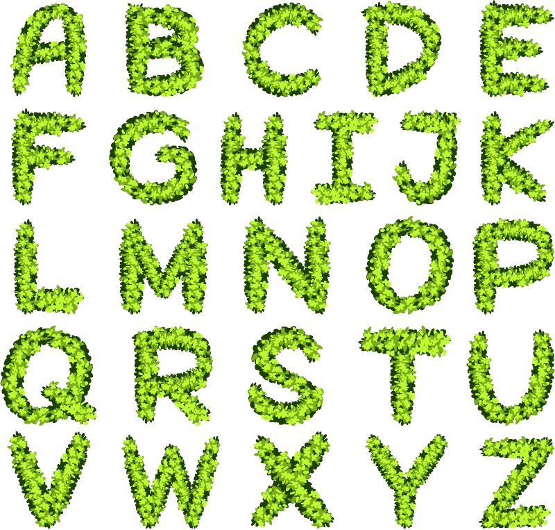 绿叶插图中的字母设计