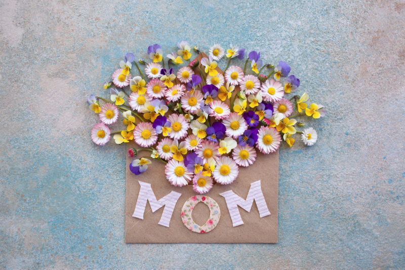 妈妈的信封有雏菊花和彩色背景的三色堇