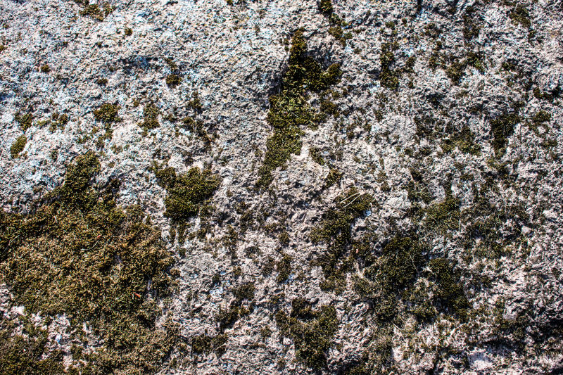 石头和苔藓背景