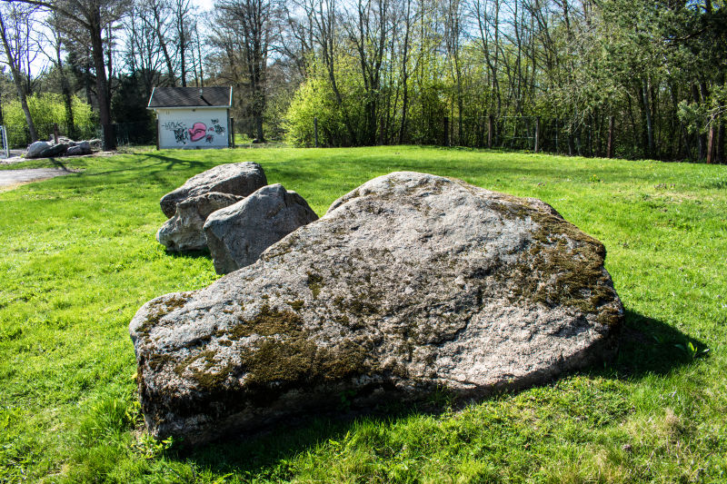 草地上的一块大石头