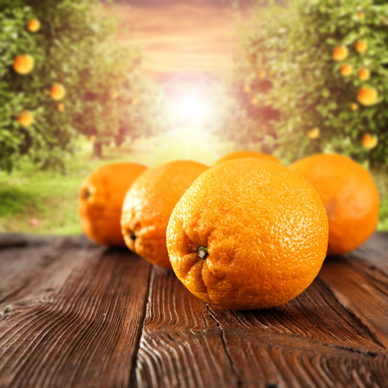 橘子装饰