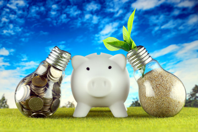 硬币在灯泡里-植物在灯泡里生长-小猪缸里-绿色生态可再生能源概念-电价-家庭节能
