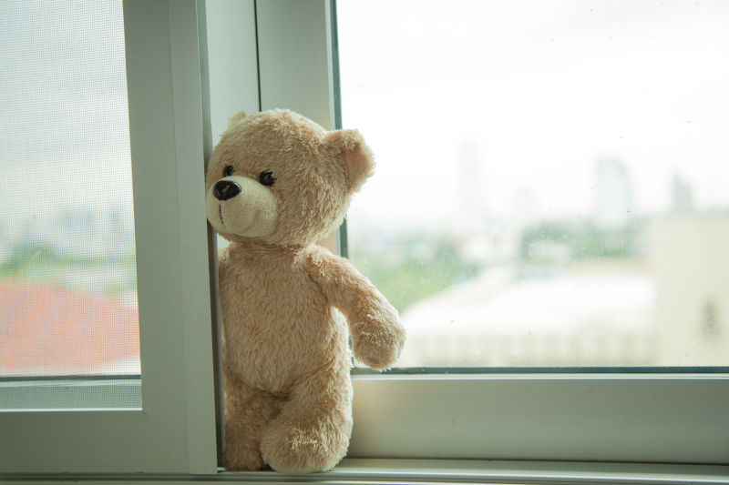 可爱的泰迪熊和窗户