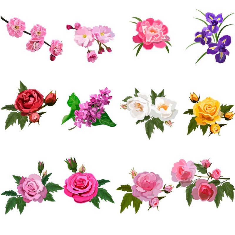 高品质的原创时尚写实向量集玫瑰丛或玫瑰梅花和丁香花-春季或夏季设计