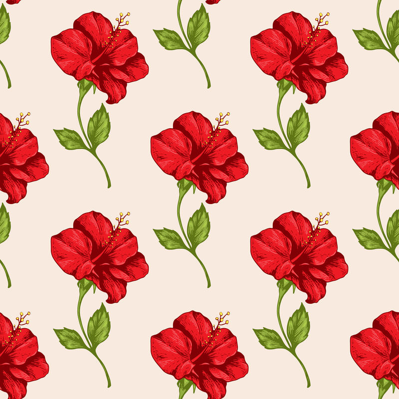 无缝纹理玫瑰花红色枝条带叶和芽白色背景复古矢量可编辑插图手绘