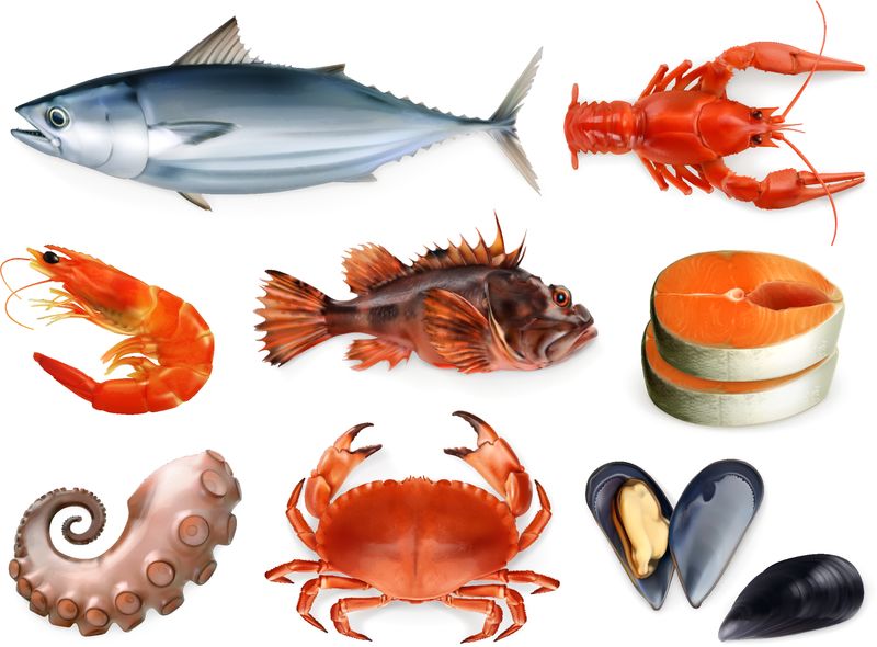 鱼-小龙虾-贻贝-章鱼-三维矢量图标集-海鲜-写实风格