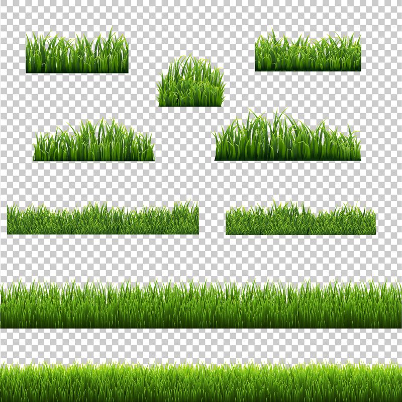 大集绿色草地边框透明背景白色背景矢量插图