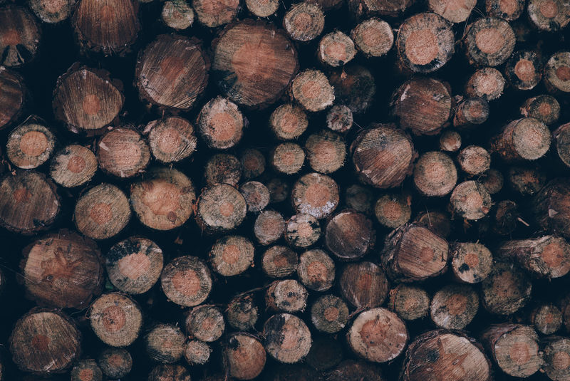 堆放木材的原木
