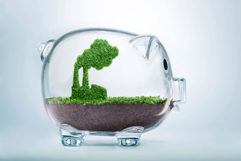 生长在工厂形状的草-在一个透明的储蓄罐里-象征着需要投资于保护环境和重新与自然联系