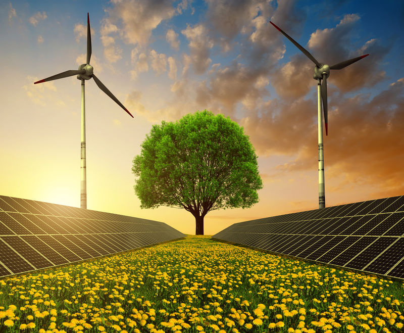 日落时蒲公英地上的太阳能电池板风力涡轮机和树木清洁能源