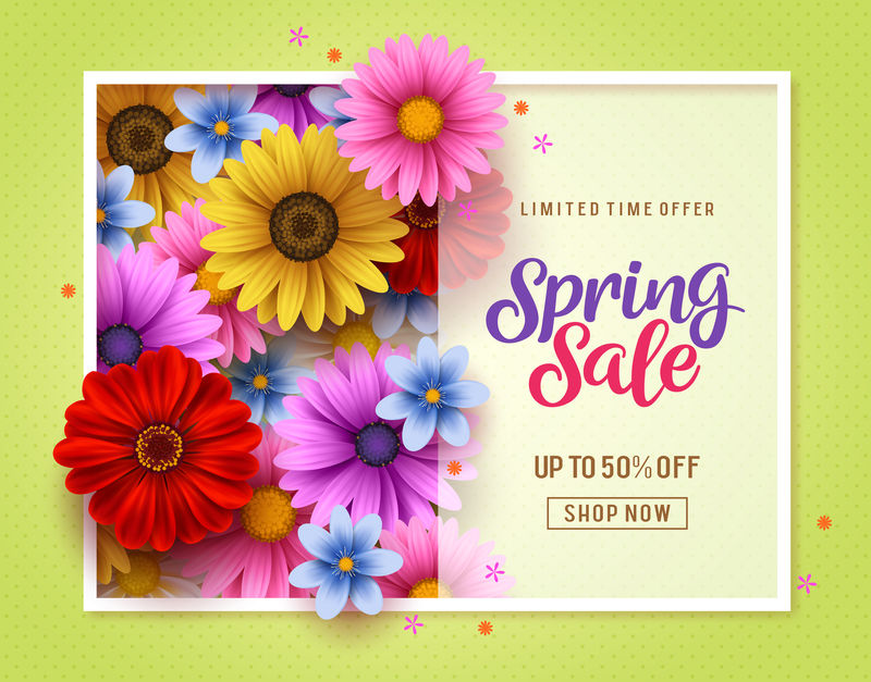 春季销售矢量横幅模板-背景为绚丽的菊花和雏菊元素-白色边框为春季季节性商店促销文本
