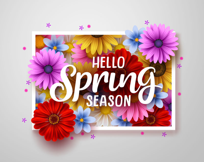 你好-春季矢量迎宾设计-你好-春天的文字与彩色雏菊和白框菊花背景-矢量图