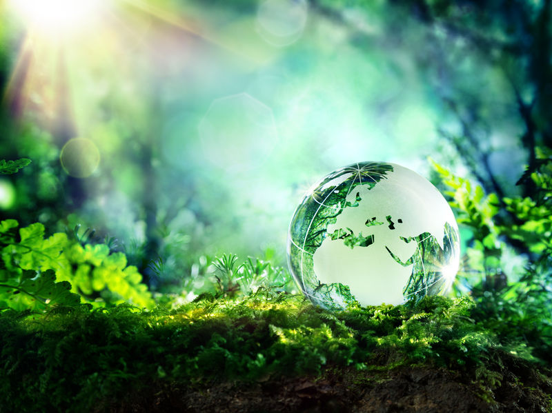 全球森林苔藓——欧洲环境概念
