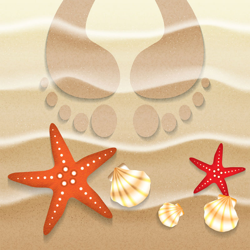 夏季背景沙贝壳和海星插图