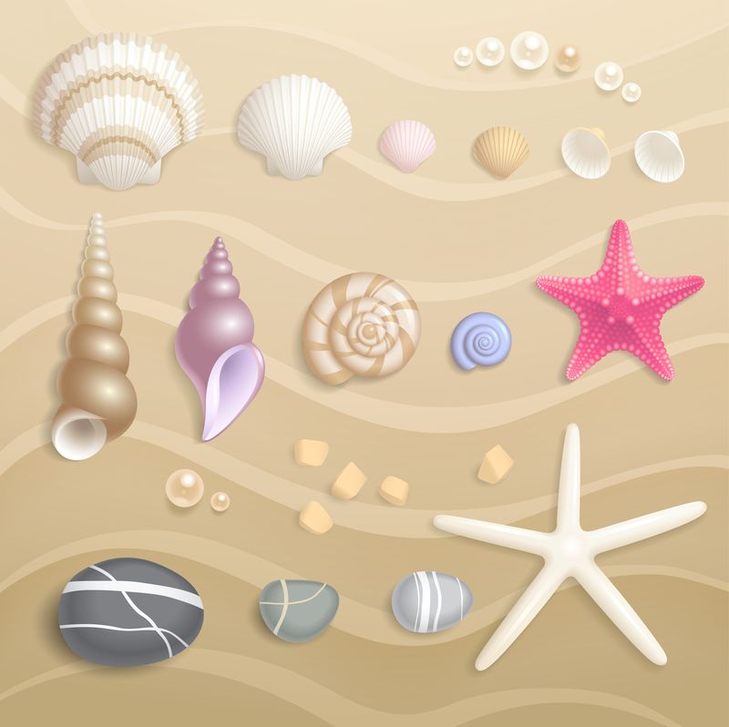 手工绘制的海水彩画套装：贝壳蜗牛软体动物海星页岩巴拿马-海鲜-矢量制作