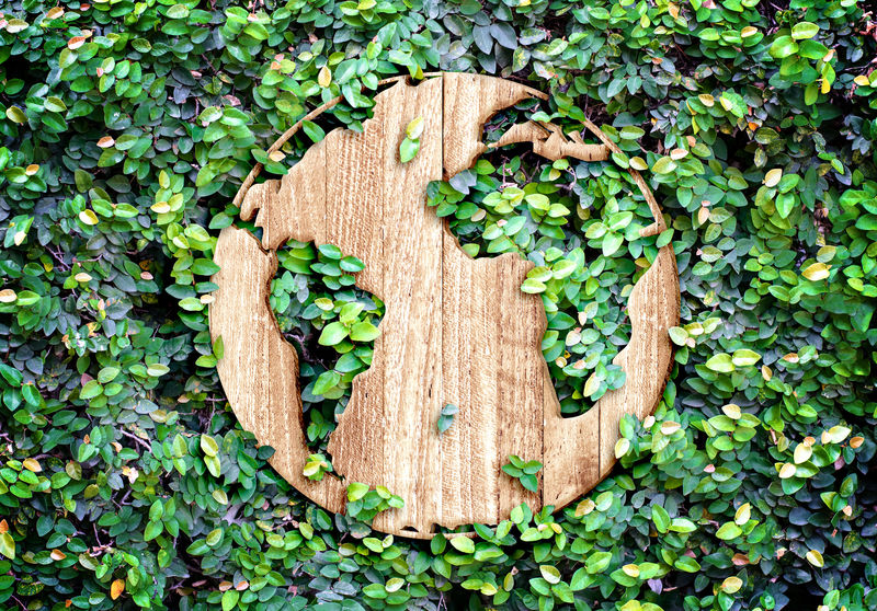 生态理念：绿叶墙上的木质纹理世界图标