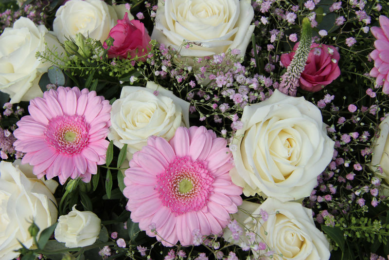 粉红色非洲菊和白色玫瑰的婚礼安排
