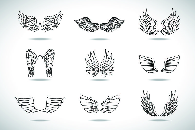 在灰色背景上设置独立的机翼草图-收集手绘天使翅膀-抽象涂鸦矢量插图-平面设计-用于标志图标纹身模板徽章标签和艺术设计