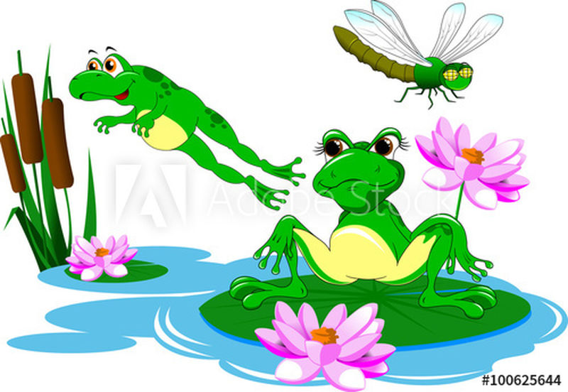 两只绿色青蛙在蓝色池塘里游泳-矢量