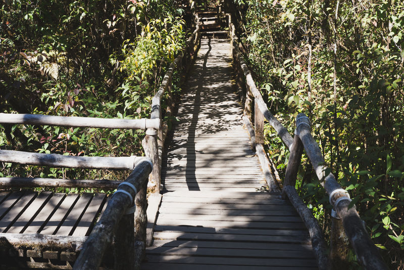 雨林步道位于泰国最高峰多伊金汉农国家公园的安加自然小径上安加叶