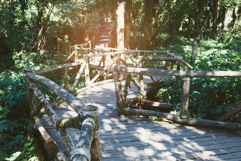 雨林步道位于泰国最高峰多伊金汉农国家公园的安加自然小径上亚洲封面