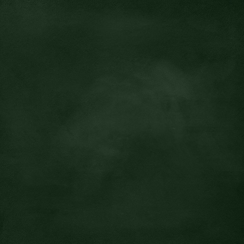 绿色黑板背景-在绿色的学校板上空无一人-矢量图