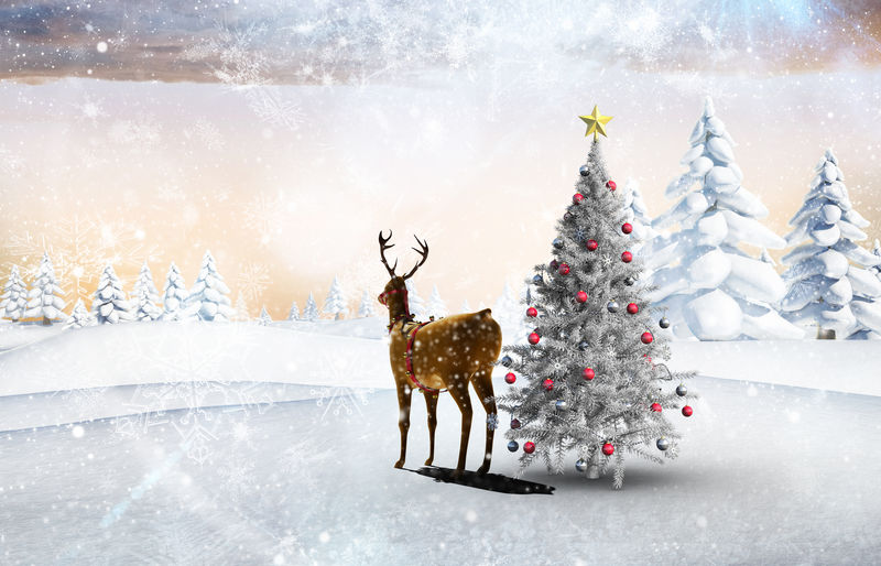 圣诞树和驯鹿与杉树雪景的合成图像