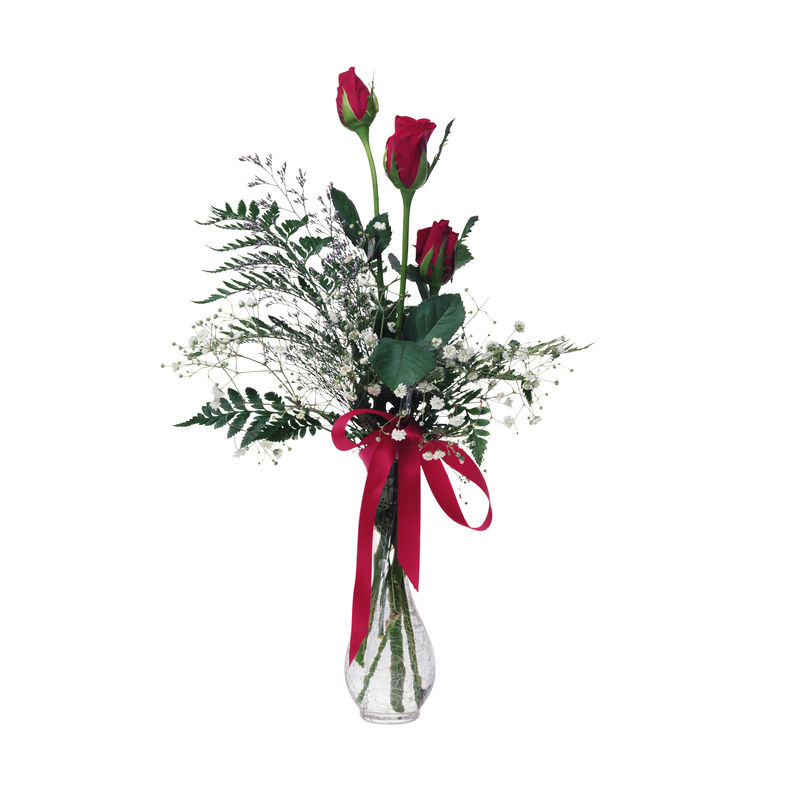 两朵红玫瑰和丝带的花瓶