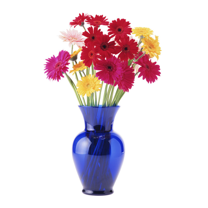 现代条纹花瓶中的彩色花束