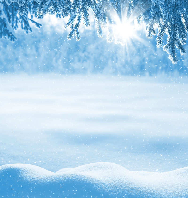 冬天的背景是雪堆和霜冻中的圣诞树