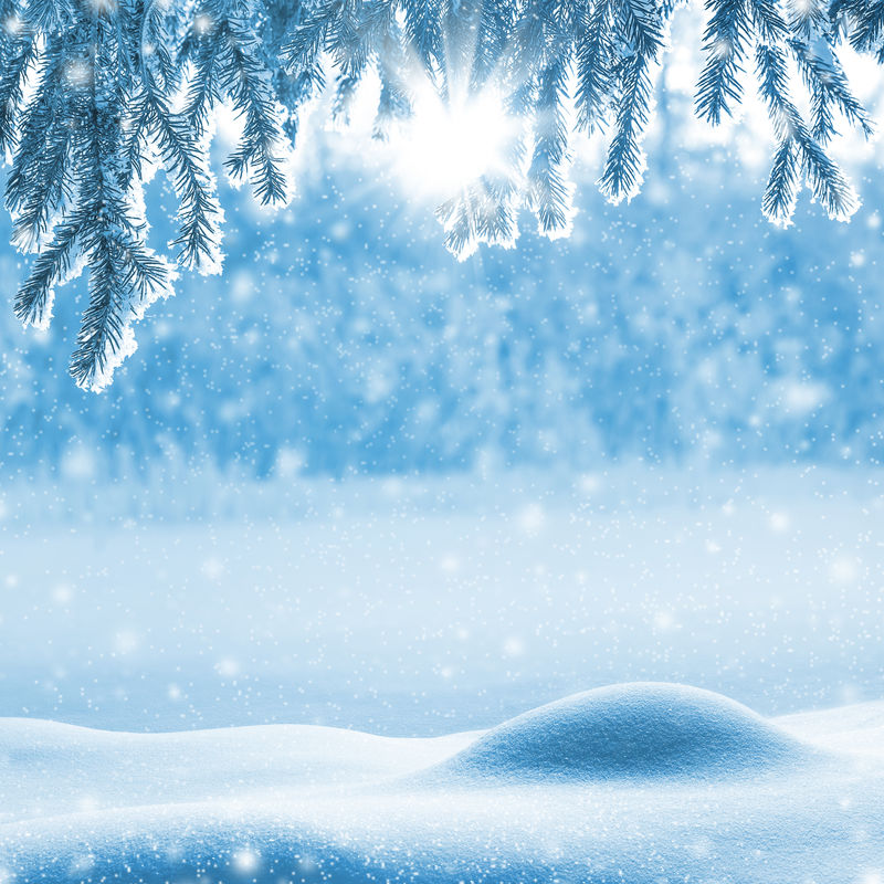 白霜中雪堆和树枝的圣诞背景