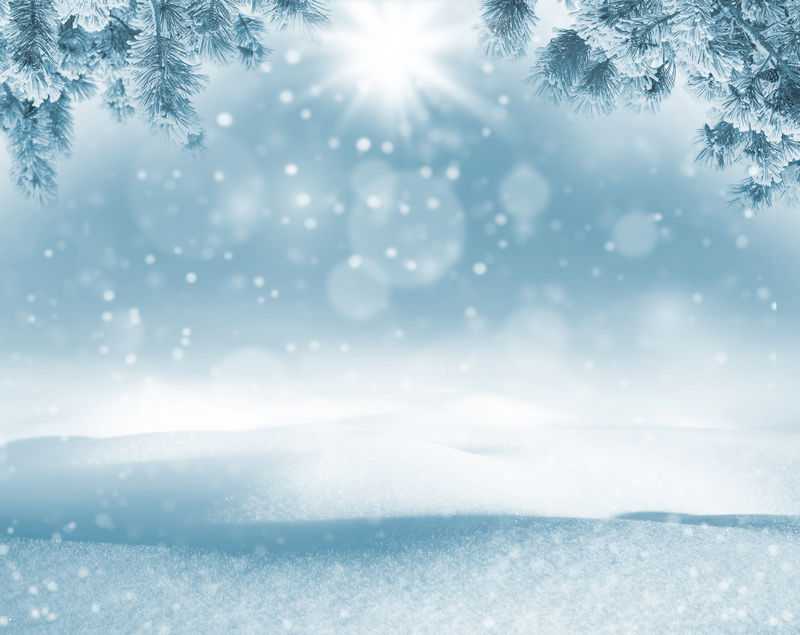 冬天明亮的背景在雪地上有雪花和松枝的圣诞风景
