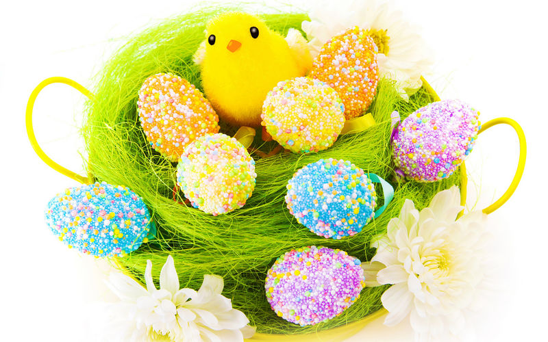 最初的彩绘复活节彩蛋-用鲜花和黄色的小雏鸡玩具装饰在白色背景上的篮子里