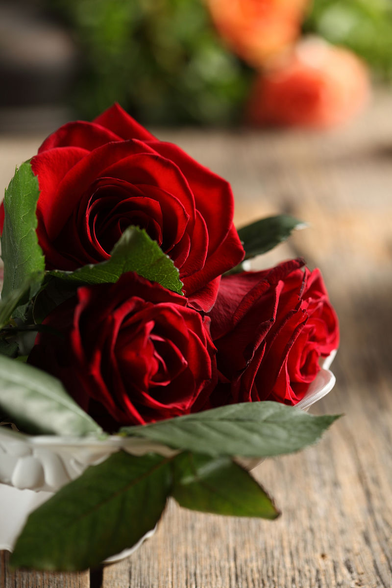 桌子上漂亮的红玫瑰和白色桌布