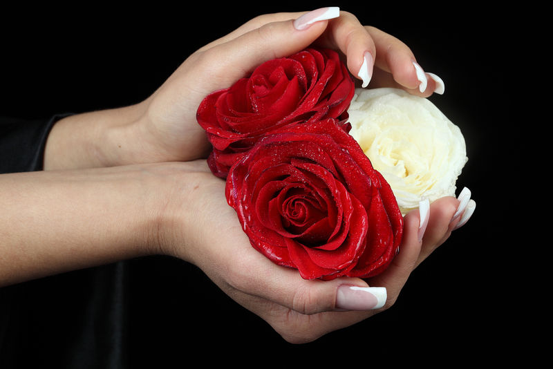 优雅的女性手托着一朵红玫瑰