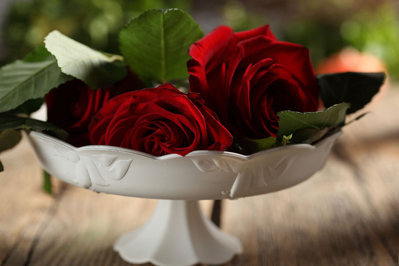 红玫瑰色背景-红玫瑰作为自然和假日的背景