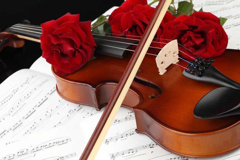 俄罗斯圣彼得堡-2016年11月-黑色背景下红色玫瑰的小提琴（小提琴）-弦乐器