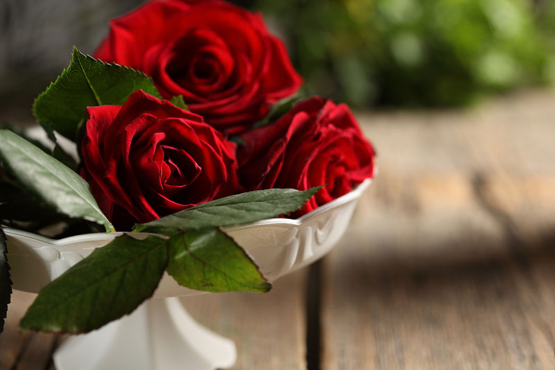 一束玫瑰特写-背景模糊-选择性聚焦-花卉图案或贺卡背景-一束新鲜玫瑰-红玫瑰头和洋甘菊花混合在一起