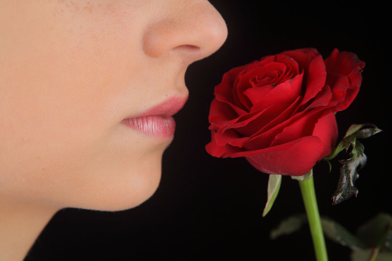 带着红玫瑰的白人女孩-不化妆的女性脸-自然美